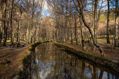Scenic view of lake in forest during winter