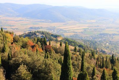 High angle view of trees on landscape against sky