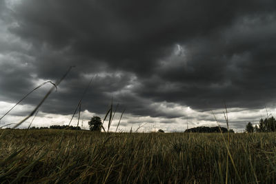 Scenic view of field against cloudy sky
