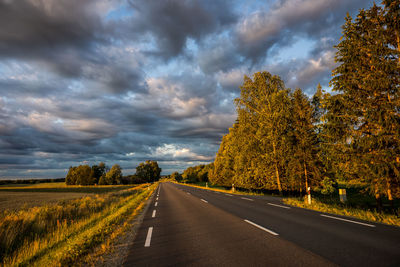 Road amidst plants and trees against sky