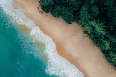 Aerial view of sea and beach