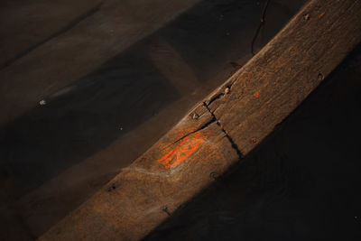 High angle view of puddle