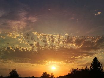 Low angle view of silhouette trees against sky during sunset