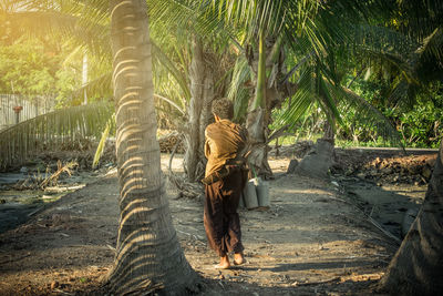 Man walking on palm tree