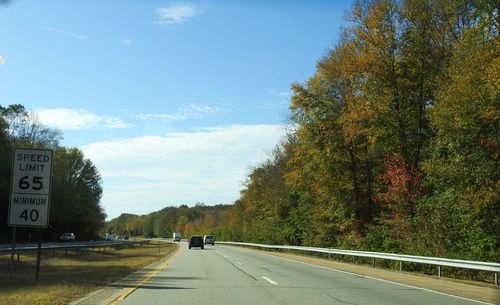 Road amidst trees against sky