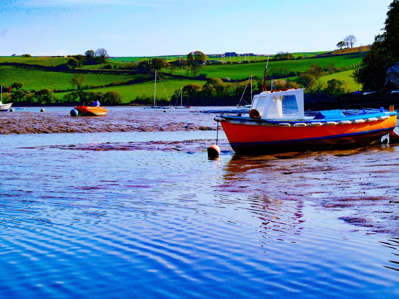 BOAT IN SEA