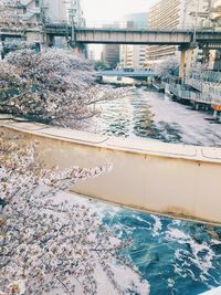 High angle view of swimming pool by river in city