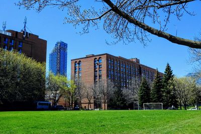 Trees and plants on field against buildings