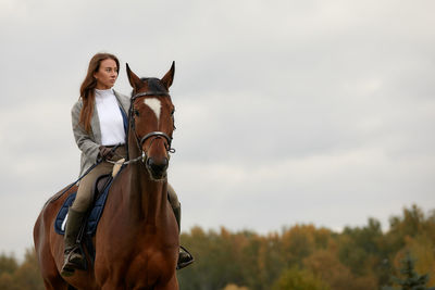 Horse standing against sky