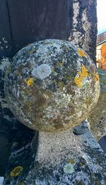 Close-up of water on rock