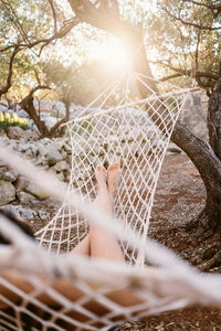 Midsection of woman relaxing on hammock by tree