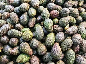 Full frame shot of avocado for sale