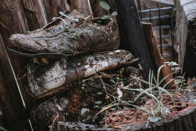 High angle view of abandoned wood