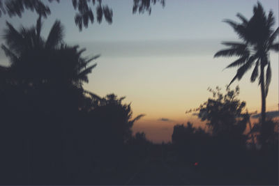 Silhouette trees against sky during sunset