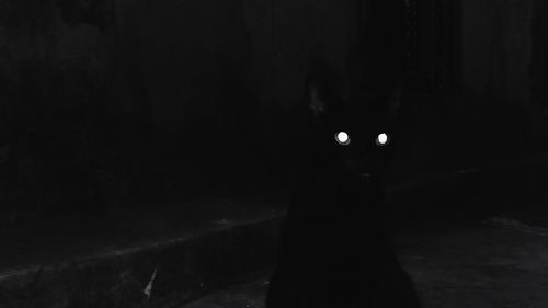 darkness