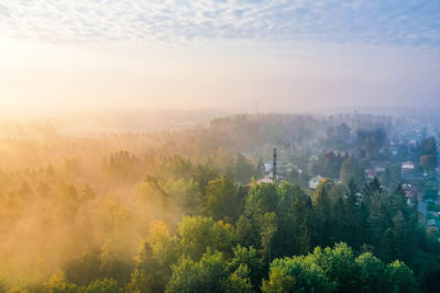 Drone view of trees, houses and sunrise on a foggy morning