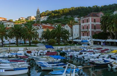 Boats moored by palm trees against sky