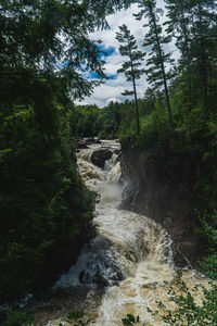 Stream flowing through rocks in forest