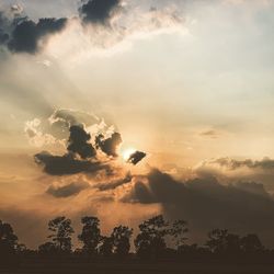 Low angle view of sunlight streaming through silhouette tree during sunset