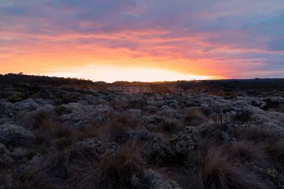 Scenic view of landscape against sky during sunset