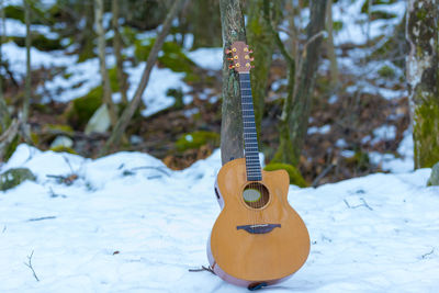 Guitar on snow covered field