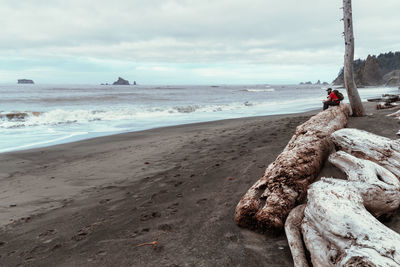 Side view of man sitting on driftwood at beach