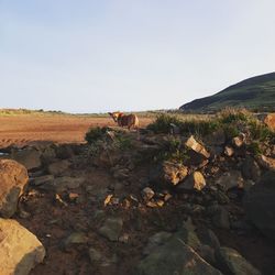 View of a landscape against the sky