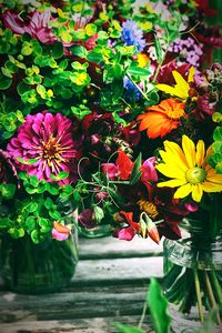 Close-up of multi colored flowers blooming outdoors