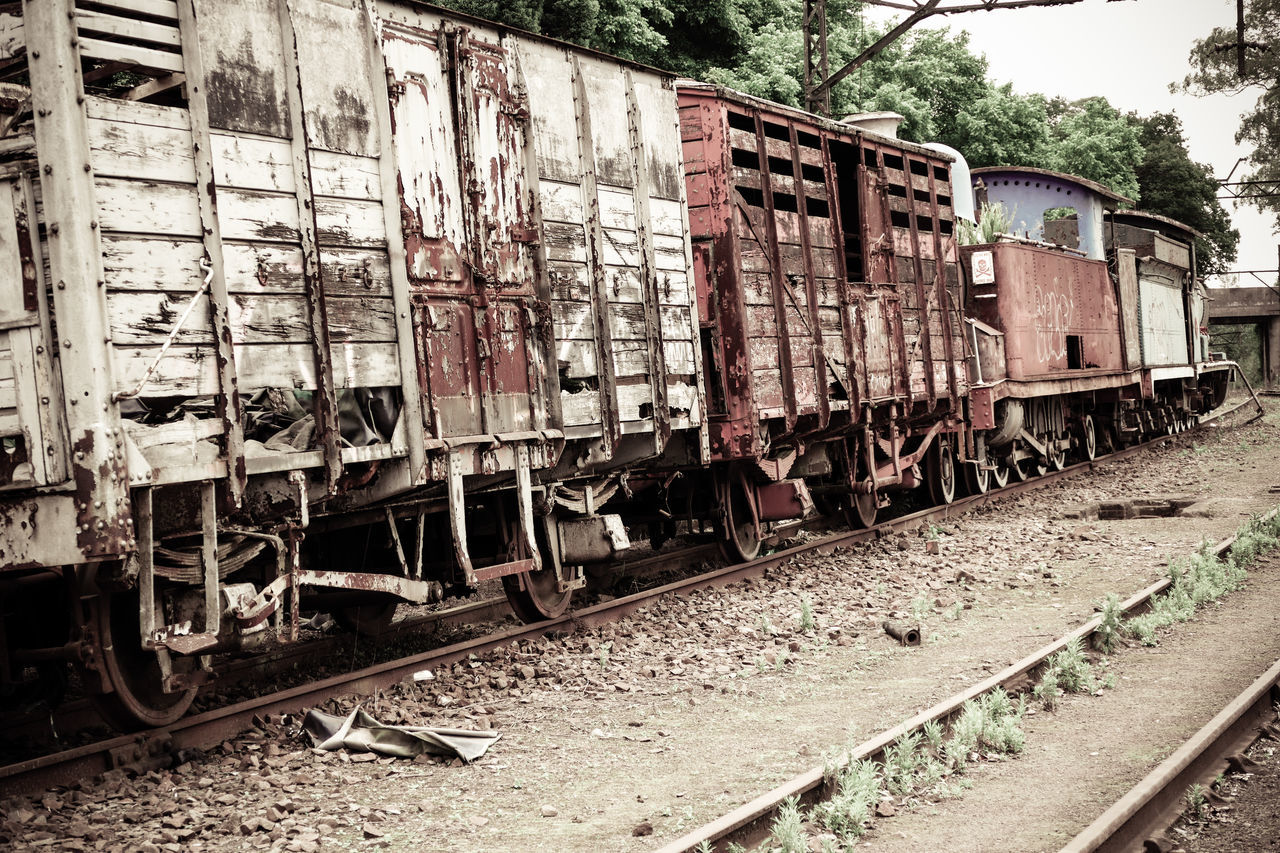 TRAIN AT RAILROAD TRACKS