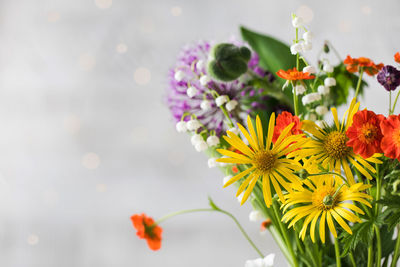 Close-up of yellow flowering plant