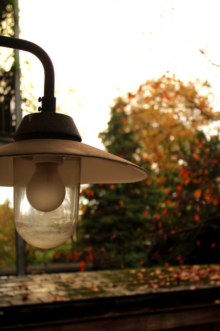 CLOSE-UP OF LANTERN ON TABLE AGAINST PLANTS