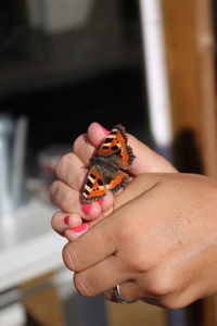 Close-up of butterfly on womans hand