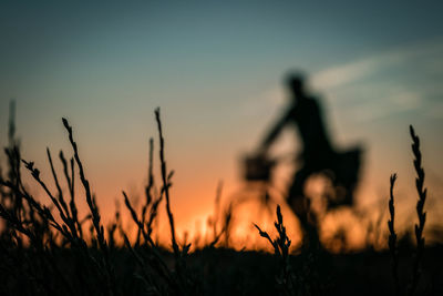 Silhouette man on field against sky during sunset