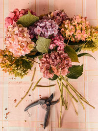 Close-up of pink flowers in vase