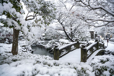 Japanese garden in japan