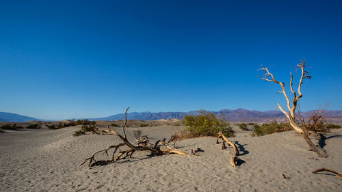 Scenic view of desert against clear blue sky