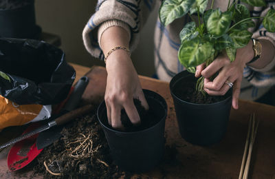 Woman planting potted plants at home