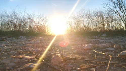 View of landscape at sunset