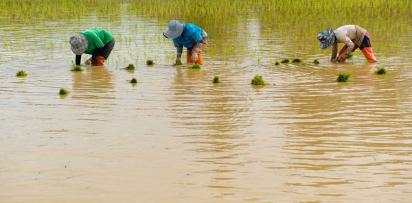 Group of people working in water