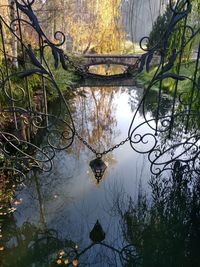 Reflection of trees in lake