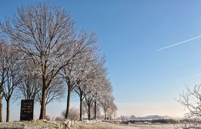 Bare trees on landscape against clear blue sky