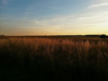 Scenic view of field against sky during sunset