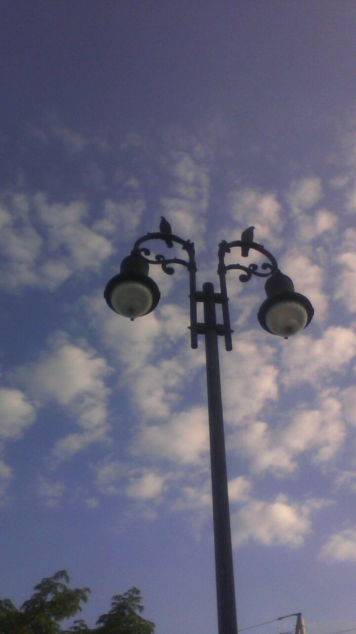 low angle view, sky, communication, text, street light, lighting equipment, western script, cloud - sky, pole, guidance, road sign, tree, cloud, sign, outdoors, no people, information sign, day, blue, capital letter