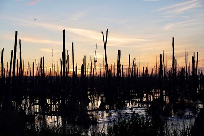 Silhouette plants by lake against sky during sunset