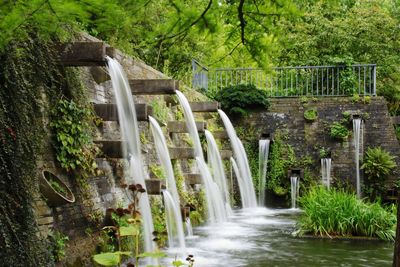 Bridge over stream amidst trees in forest