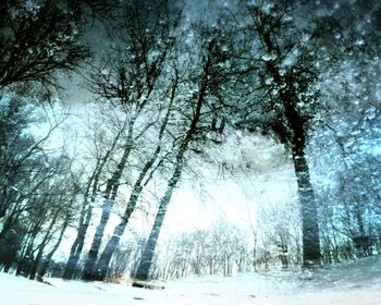 Scenic view of snow covered landscape