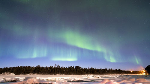 Scenic view of trees against sky at night during winter