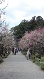 Footpath in park