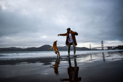 Dog on beach against sky