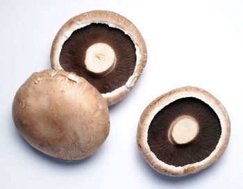 High angle view of mushrooms against white background